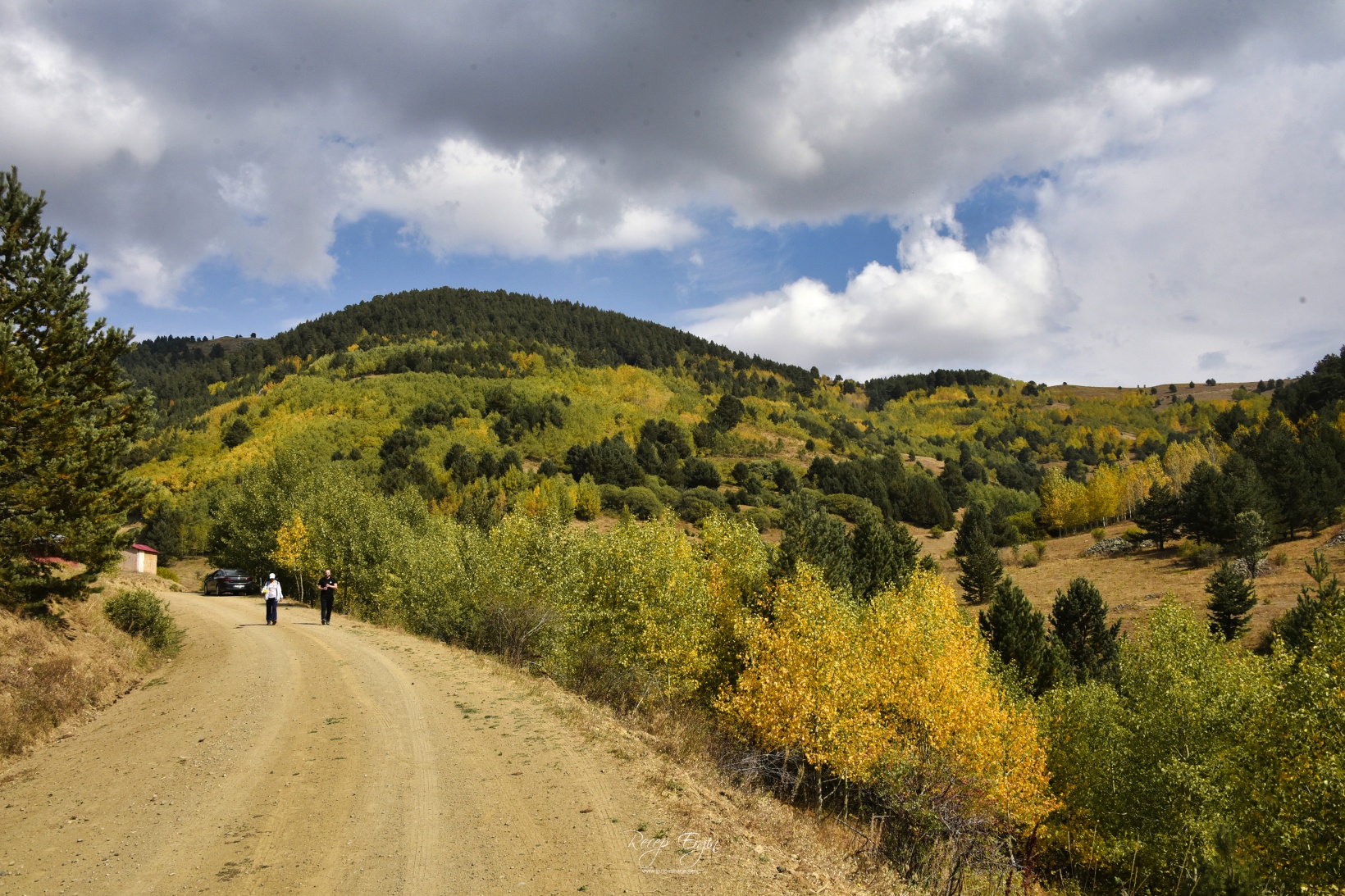 Sonbaharın büyüleyici renkleri Gümüşhane'yi sardı 66
