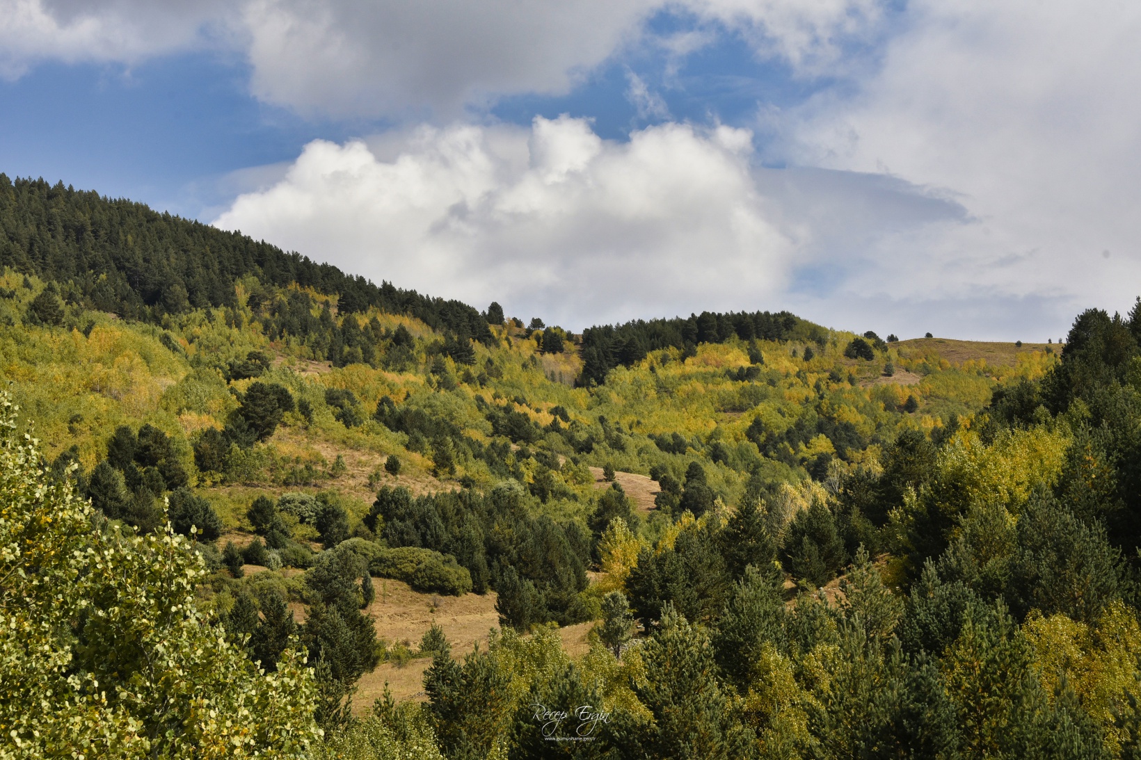 Sonbaharın büyüleyici renkleri Gümüşhane'yi sardı 63
