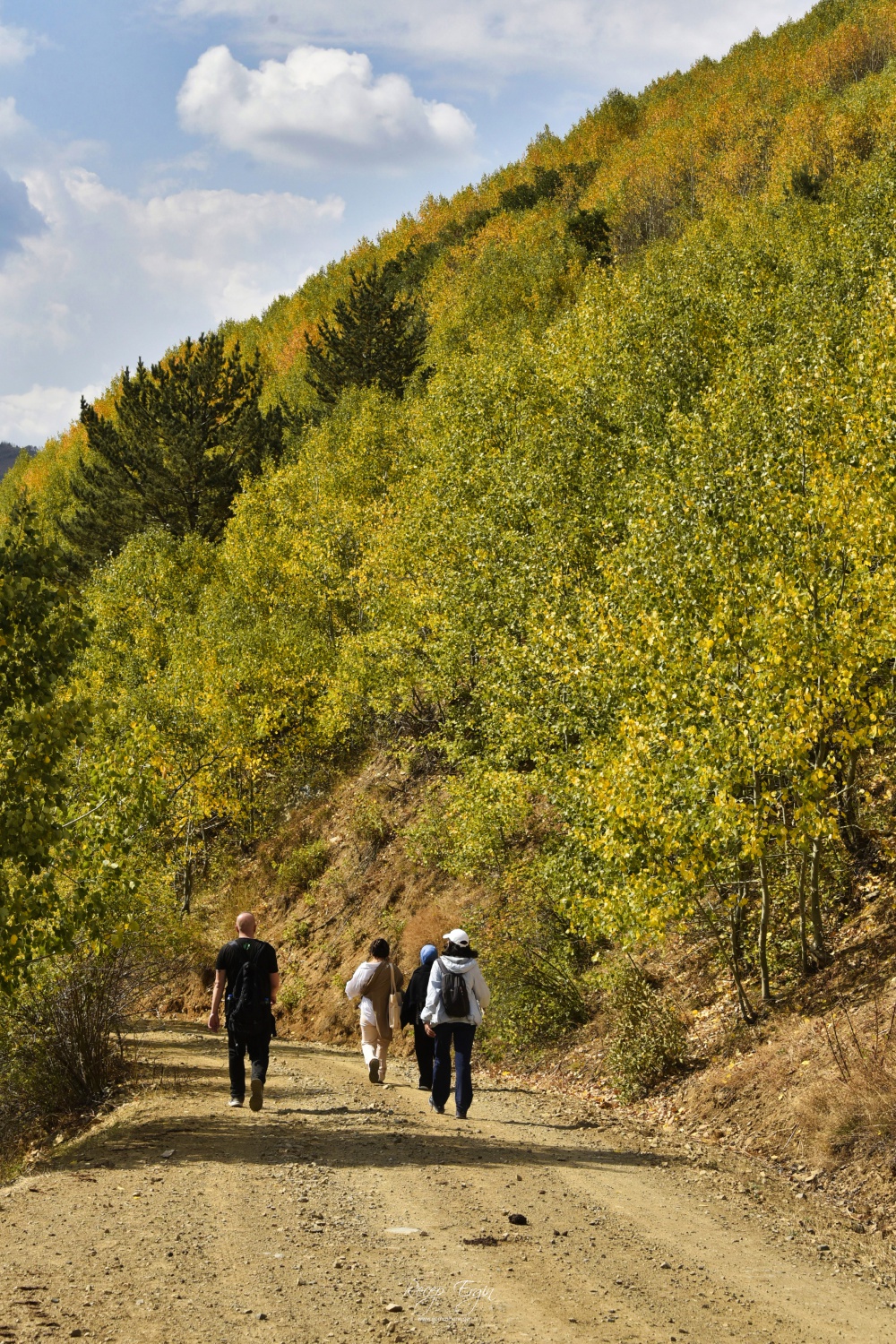 Sonbaharın büyüleyici renkleri Gümüşhane'yi sardı 65