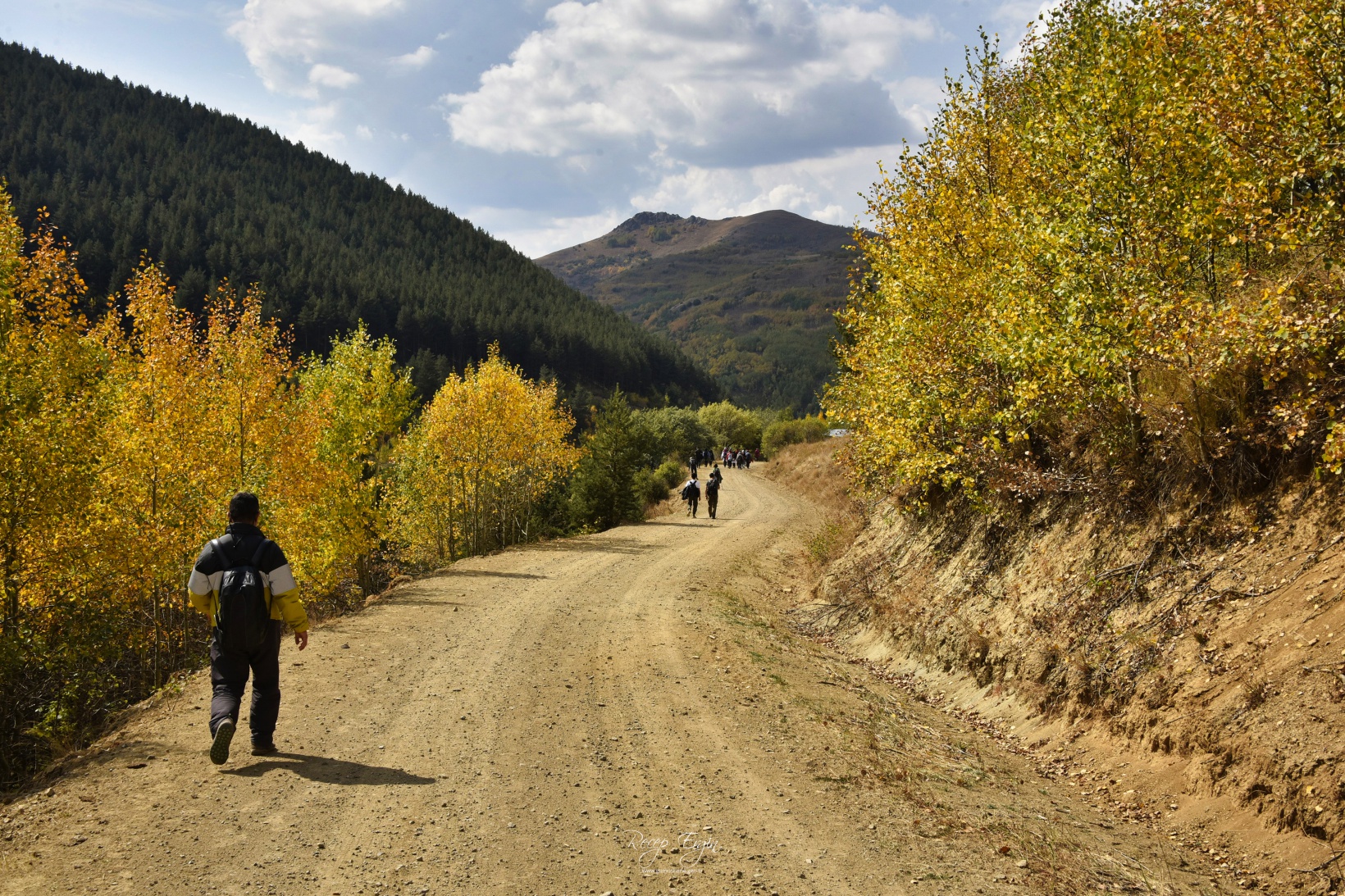 Sonbaharın büyüleyici renkleri Gümüşhane'yi sardı 67