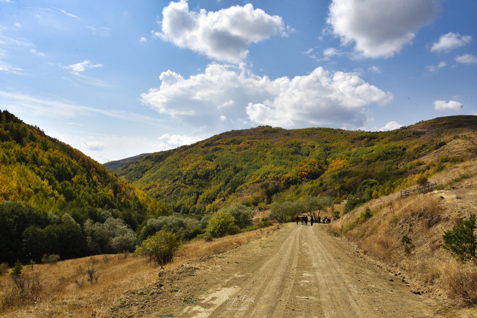 Sonbaharın büyüleyici renkleri Gümüşhane'yi sardı 32