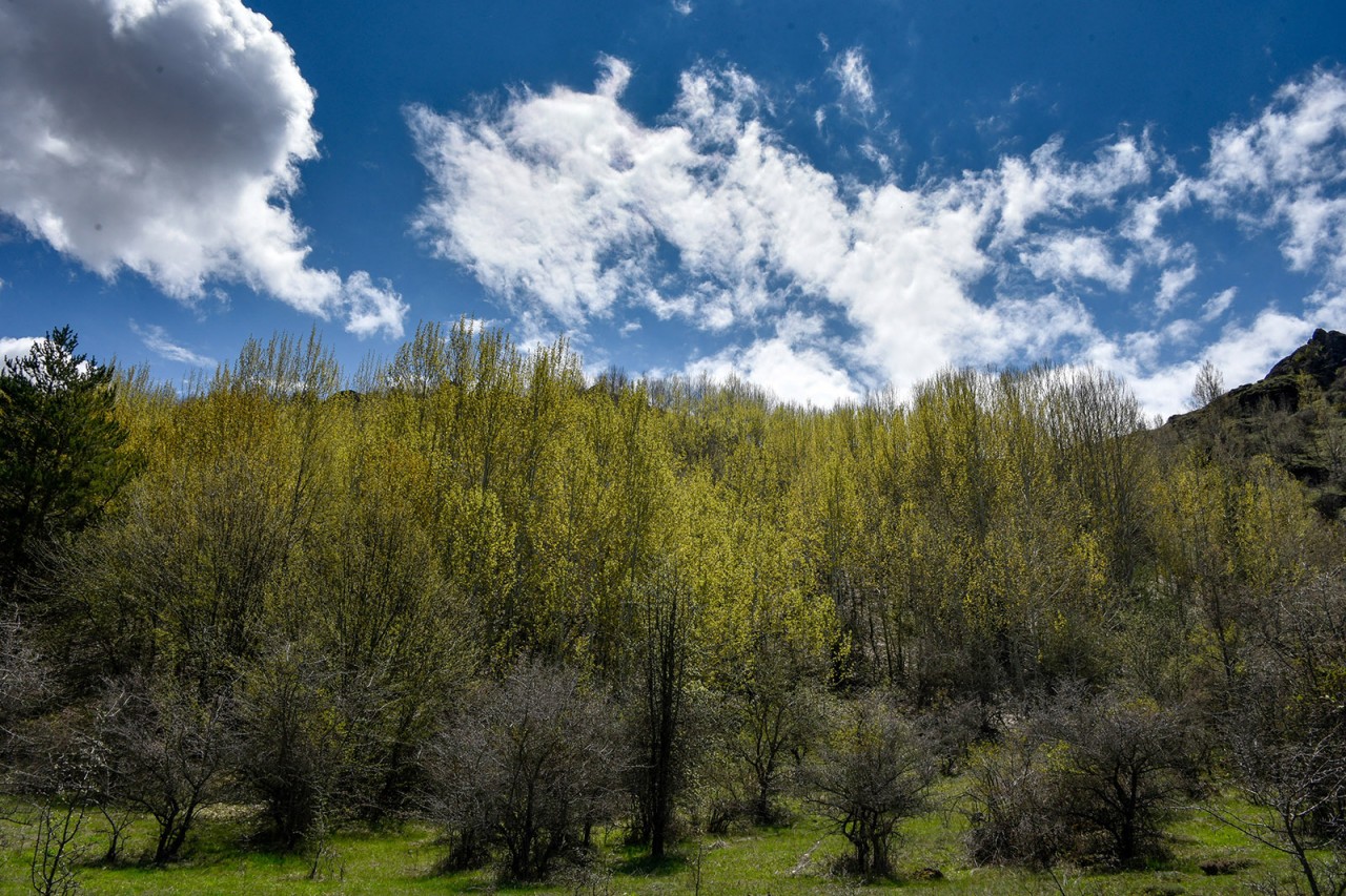 Gümüşhaneli Dağcılar Aynı Günde 5 Ayrı Zirveyi Aştılar 19