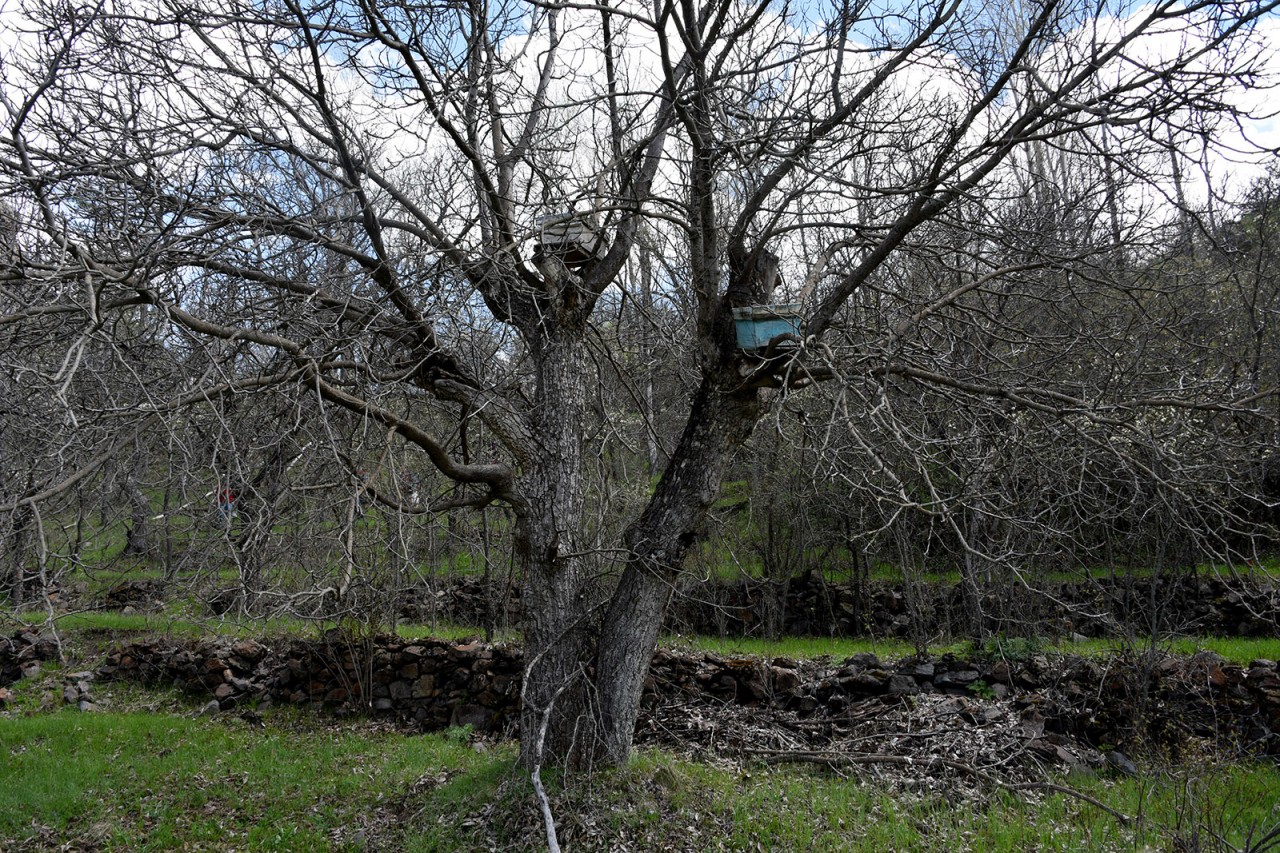 Gümüşhaneli Dağcılar Aynı Günde 5 Ayrı Zirveyi Aştılar 20