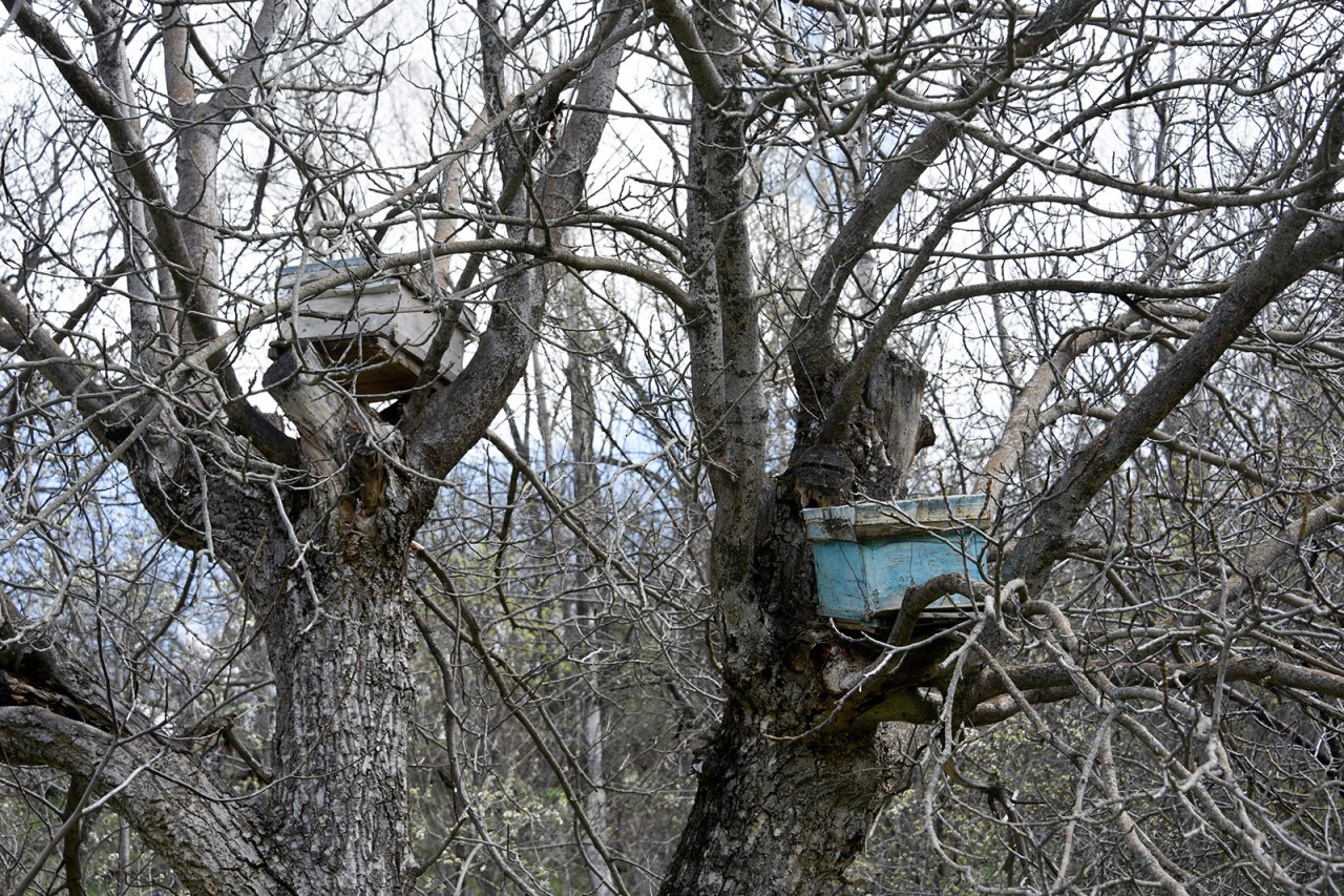 Gümüşhaneli Dağcılar Aynı Günde 5 Ayrı Zirveyi Aştılar 21