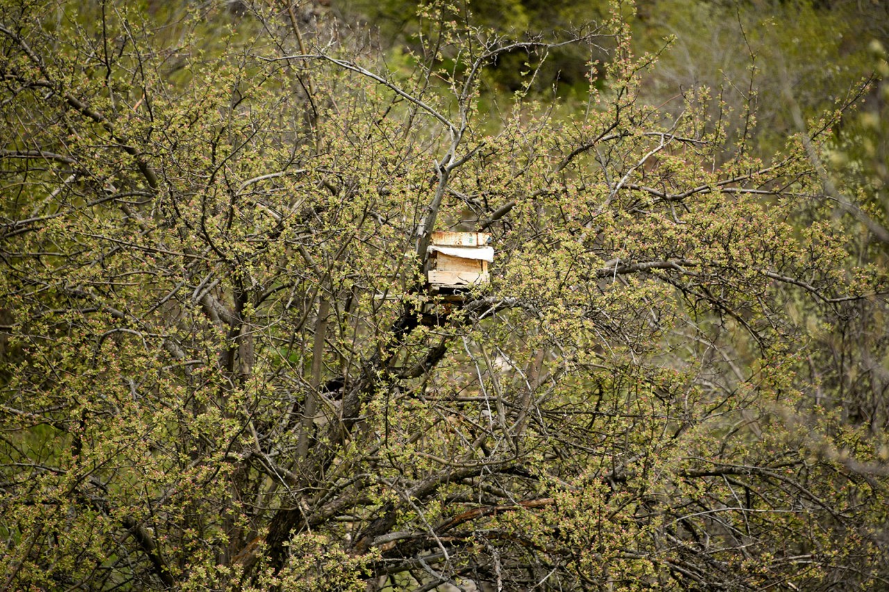 Gümüşhaneli Dağcılar Aynı Günde 5 Ayrı Zirveyi Aştılar 34