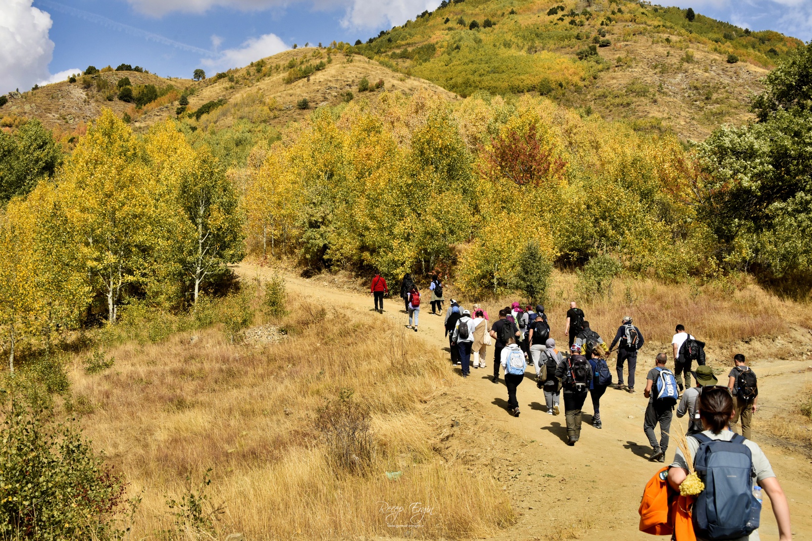 Sonbaharın büyüleyici renkleri Gümüşhane'yi sardı 76