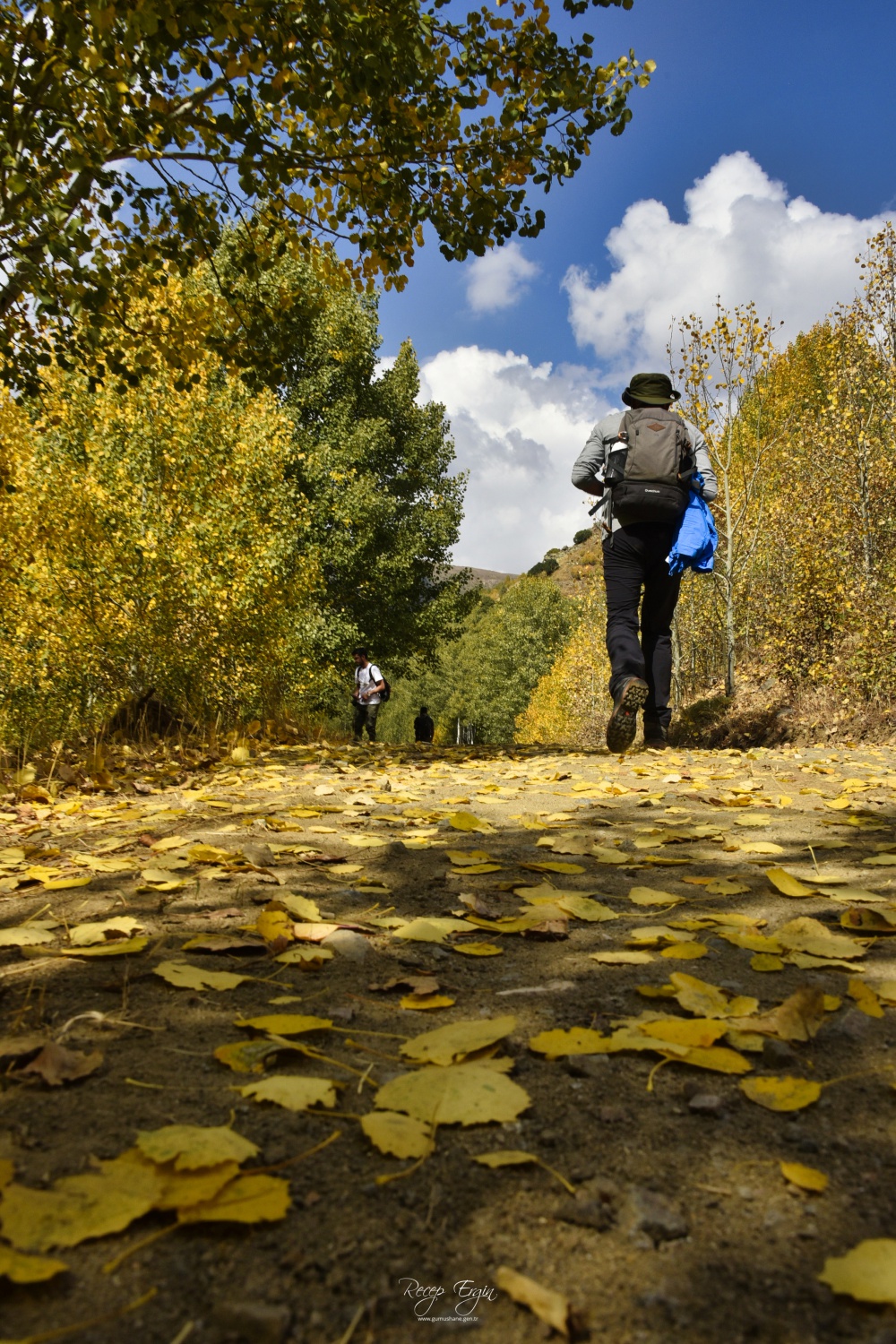 Sonbaharın büyüleyici renkleri Gümüşhane'yi sardı 34
