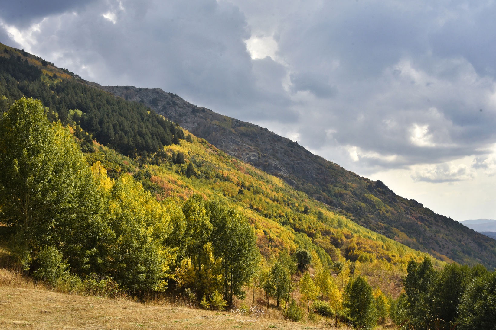 Sonbaharın büyüleyici renkleri Gümüşhane'yi sardı 74