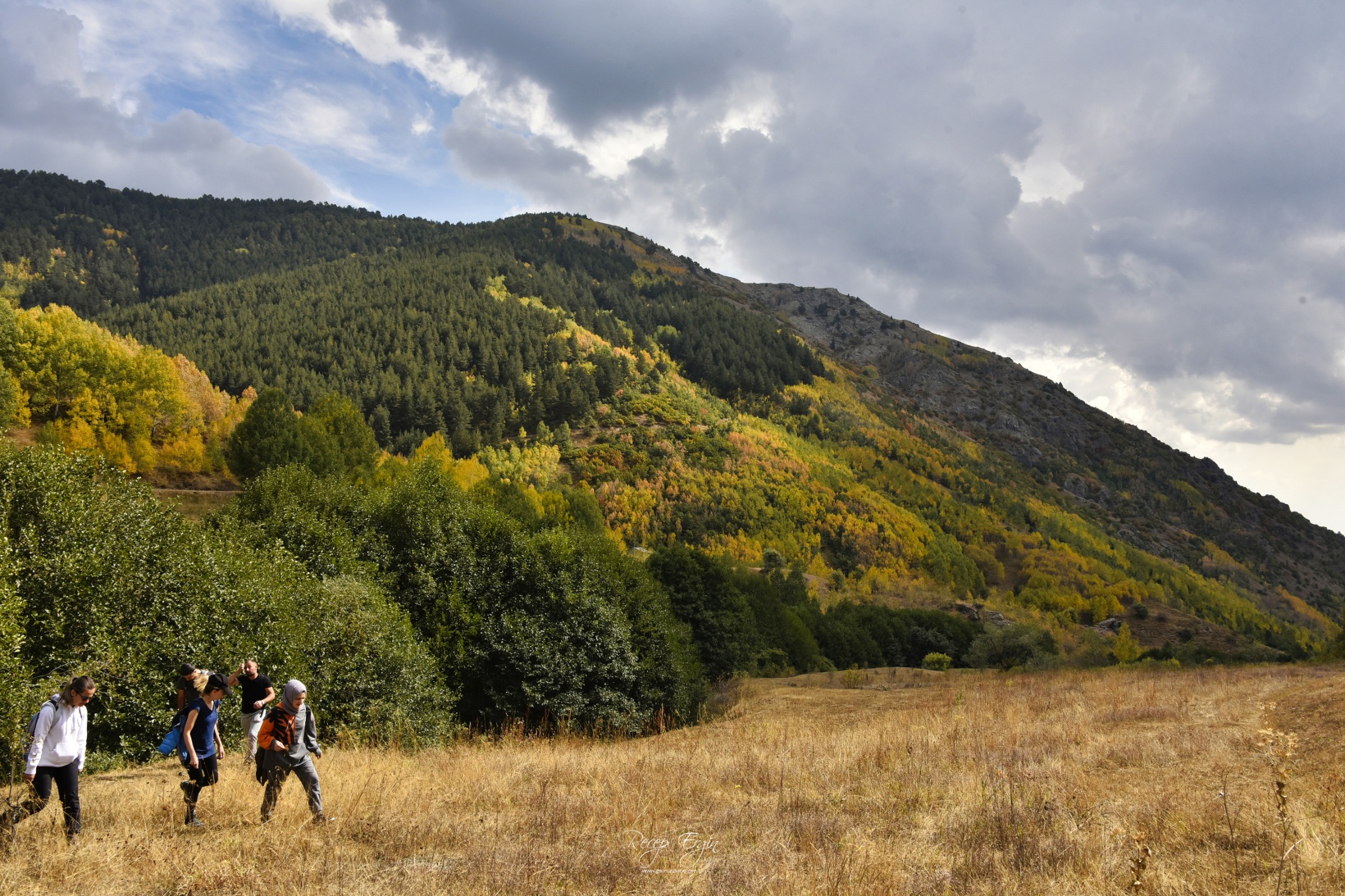 Sonbaharın büyüleyici renkleri Gümüşhane'yi sardı 43