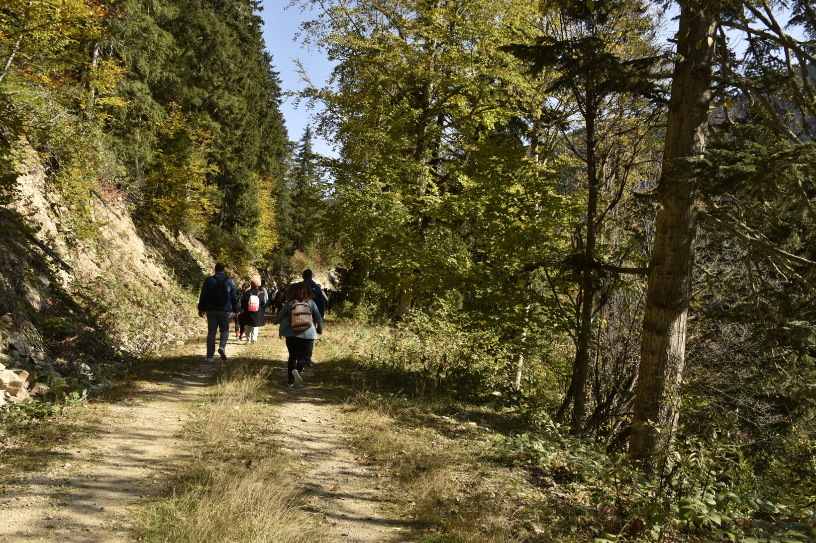 Görsel şöleni görmek için Örümcek Ormanlarına akın ettiler 21