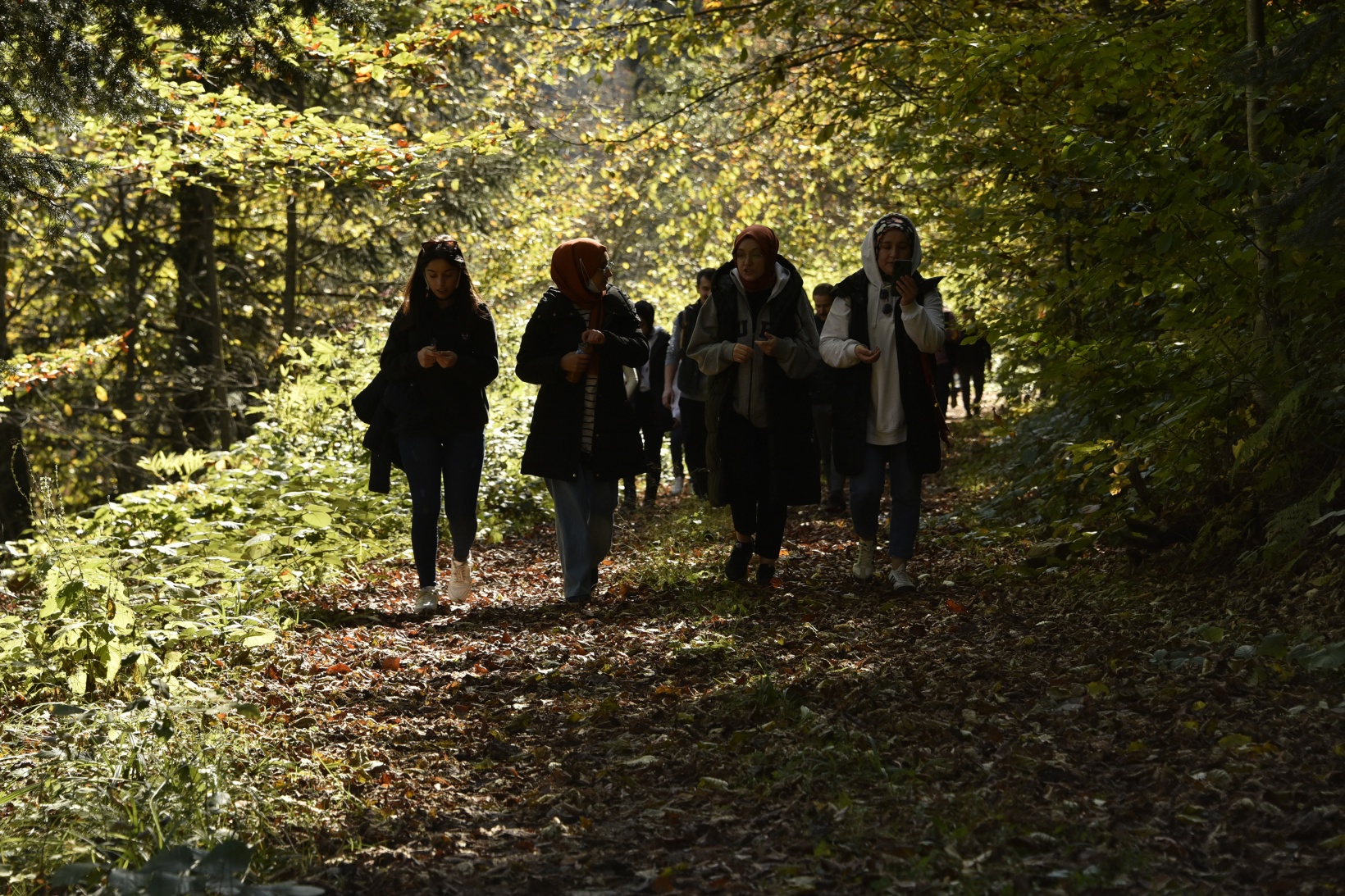 Görsel şöleni görmek için Örümcek Ormanlarına akın ettiler 23