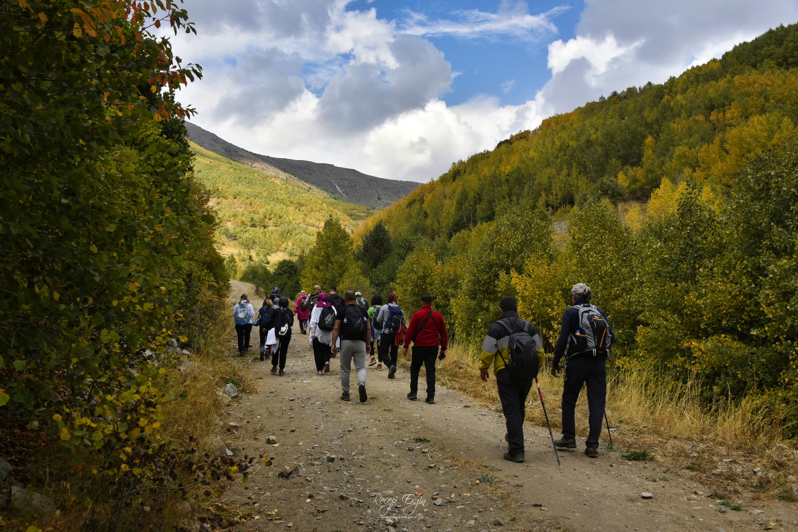 Sonbaharın büyüleyici renkleri Gümüşhane'yi sardı 42