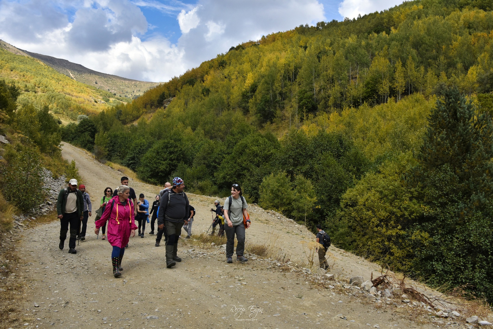 Sonbaharın büyüleyici renkleri Gümüşhane'yi sardı 69