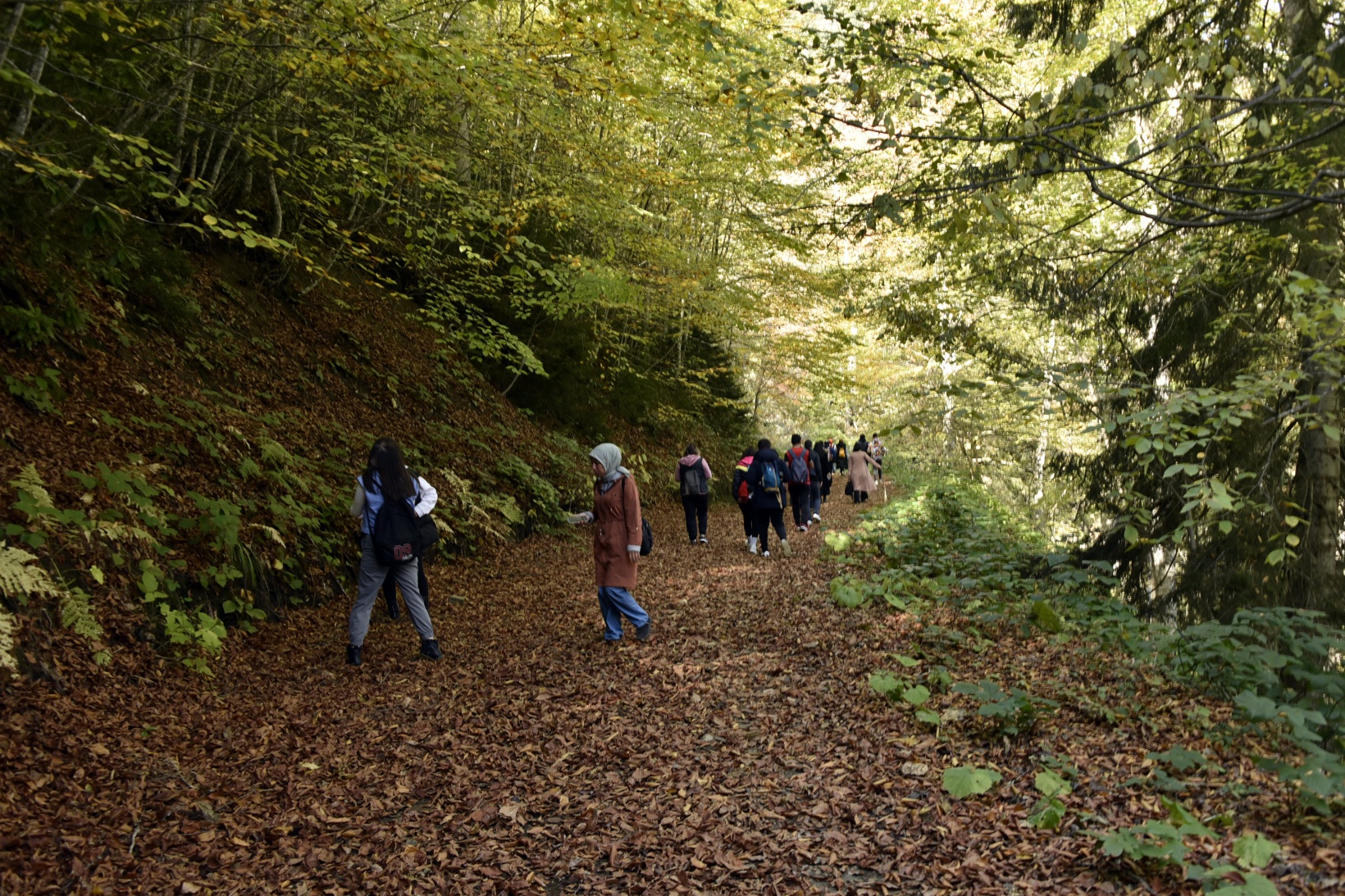 Görsel şöleni görmek için Örümcek Ormanlarına akın ettiler 3