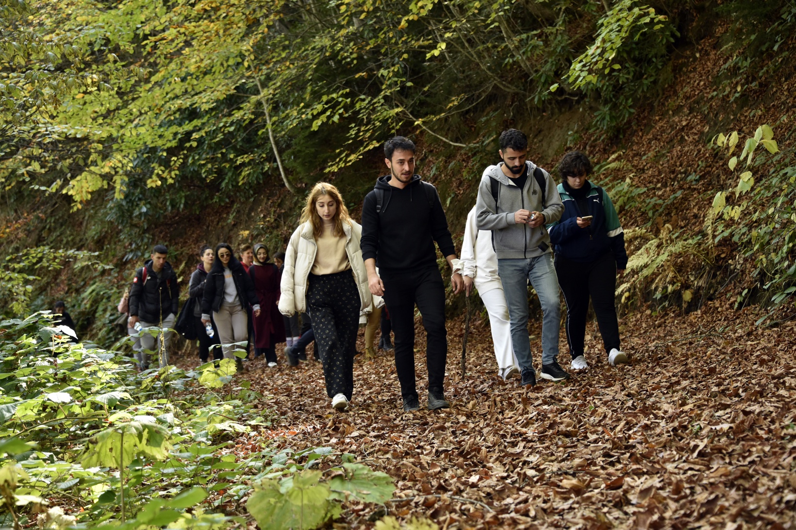 Görsel şöleni görmek için Örümcek Ormanlarına akın ettiler 17