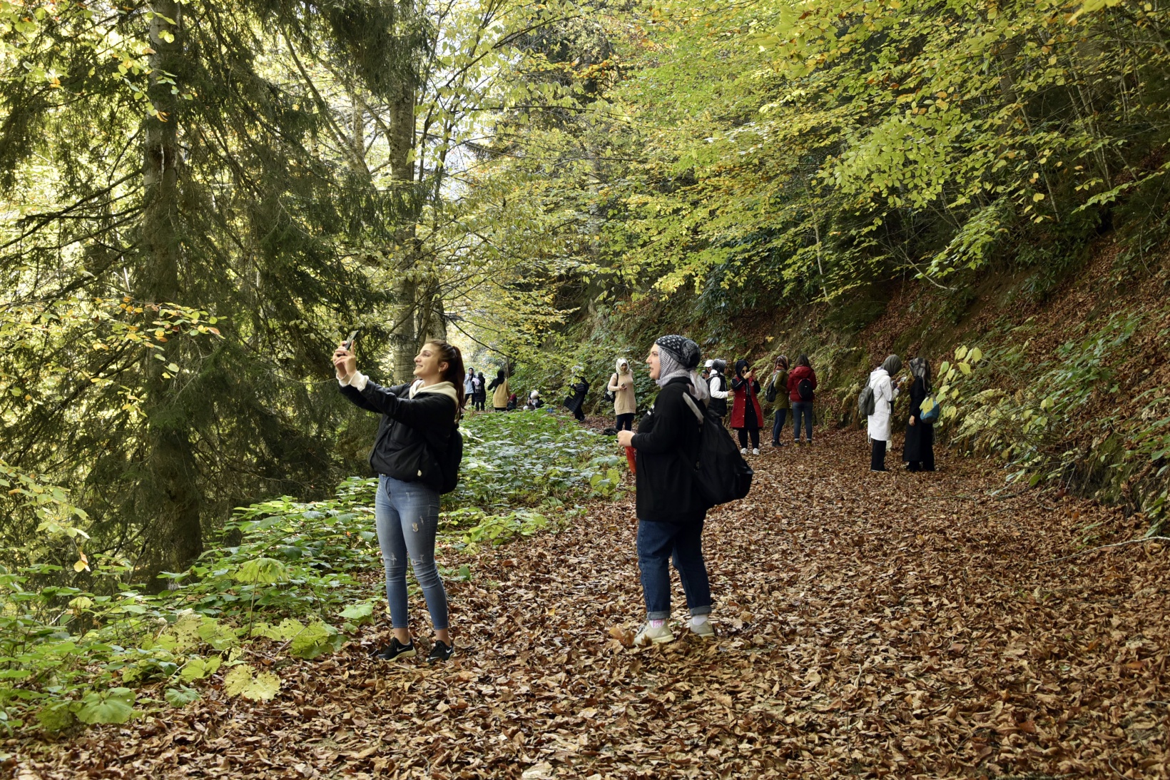 Görsel şöleni görmek için Örümcek Ormanlarına akın ettiler 13