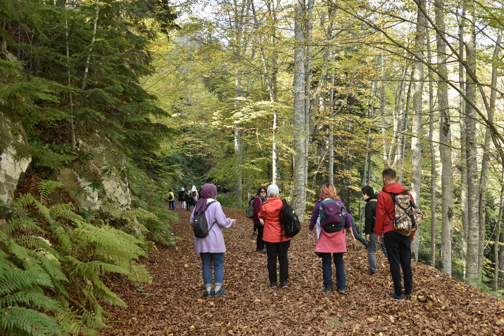 Görsel şöleni görmek için Örümcek Ormanlarına akın ettiler 19