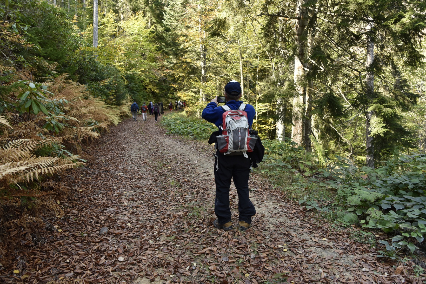 Görsel şöleni görmek için Örümcek Ormanlarına akın ettiler 4