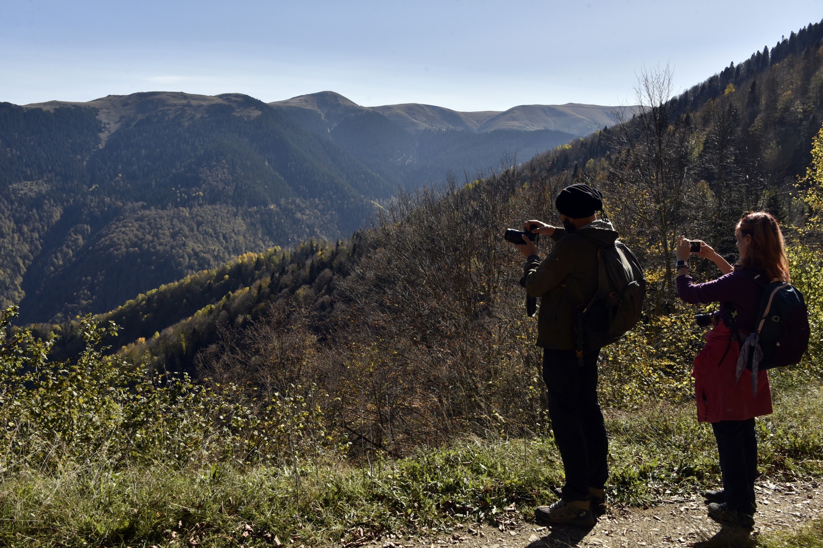 Görsel şöleni görmek için Örümcek Ormanlarına akın ettiler 14
