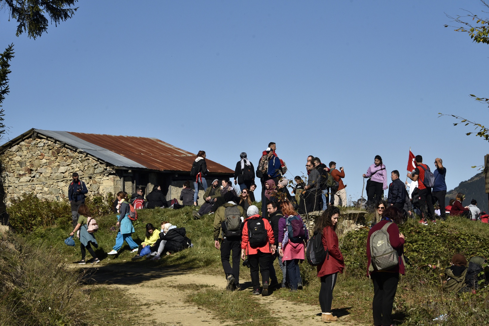 Görsel şöleni görmek için Örümcek Ormanlarına akın ettiler 16