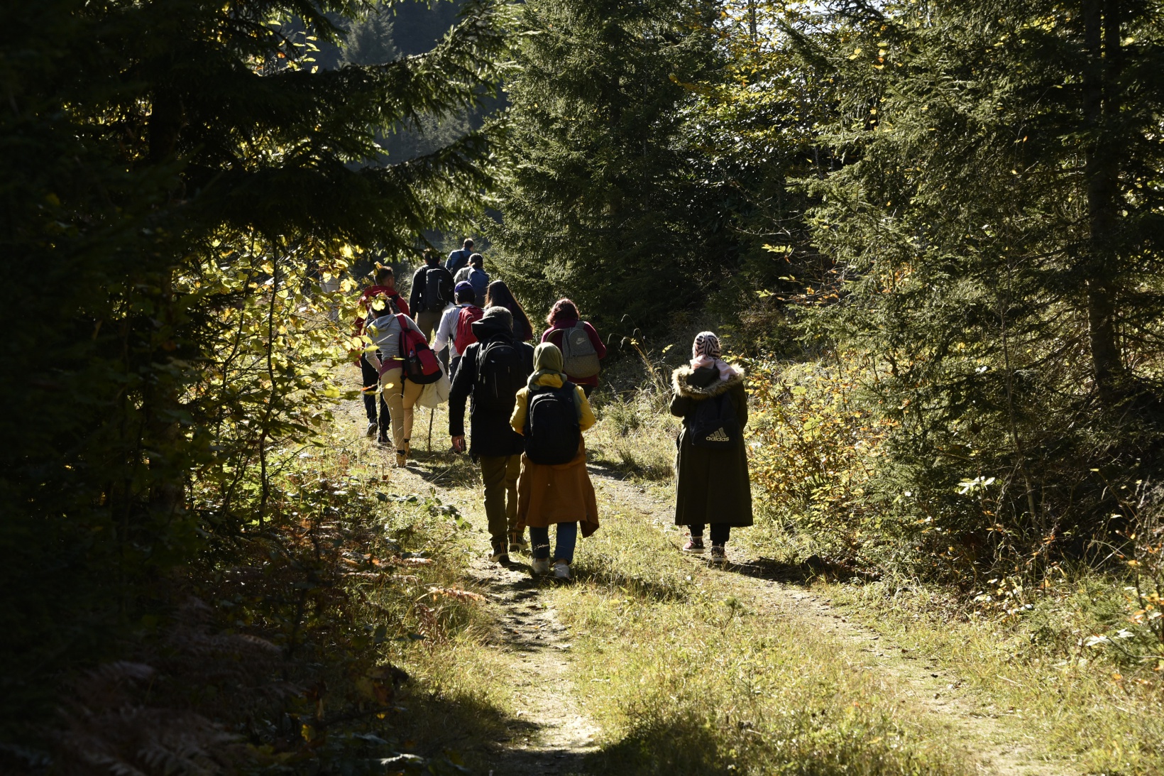 Görsel şöleni görmek için Örümcek Ormanlarına akın ettiler 24