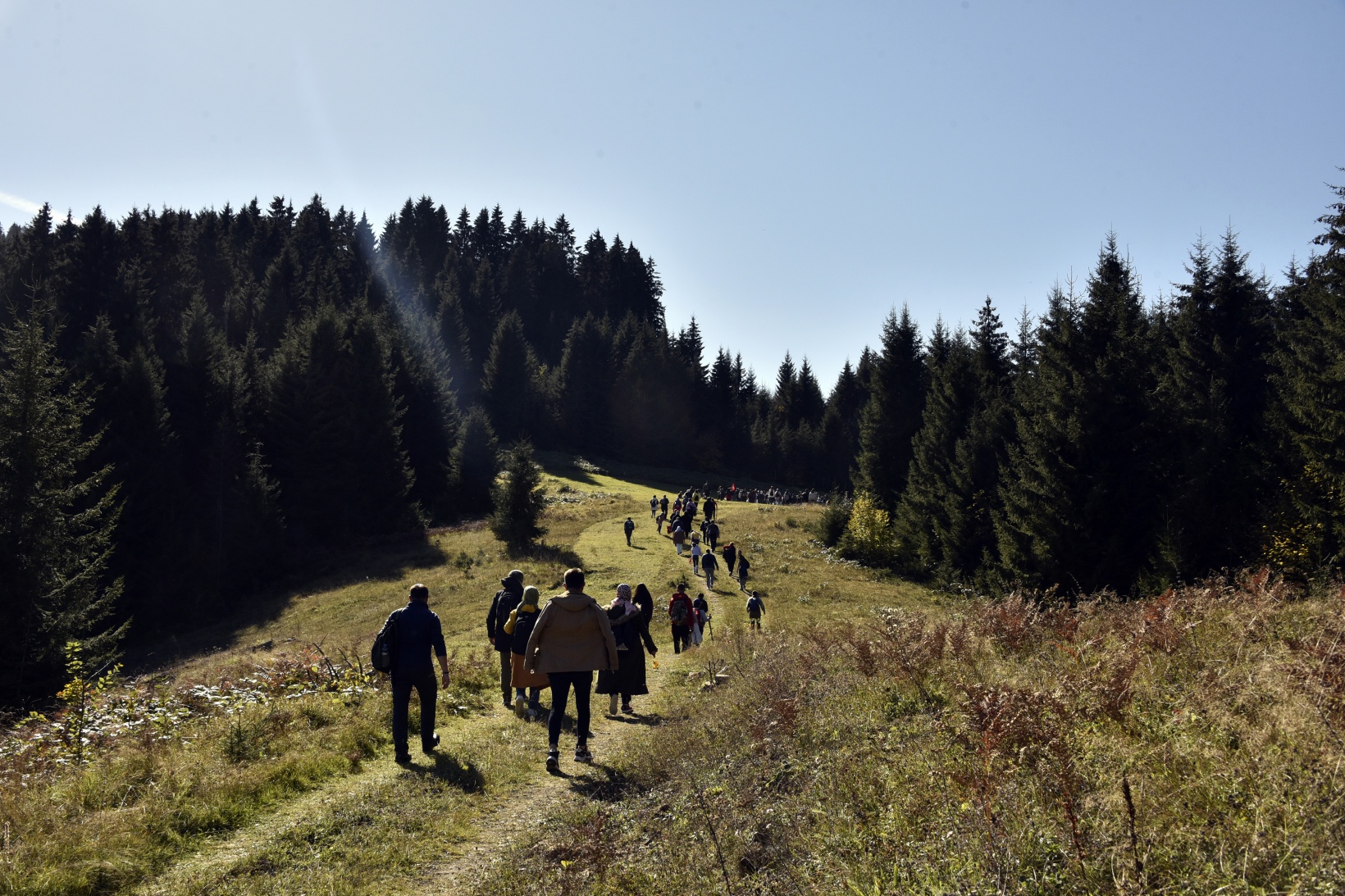 Görsel şöleni görmek için Örümcek Ormanlarına akın ettiler 1