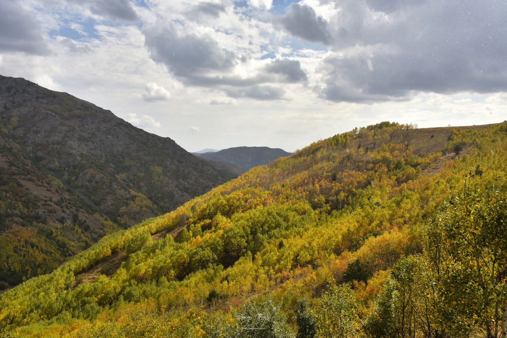 Sonbaharın büyüleyici renkleri Gümüşhane'yi sardı 77