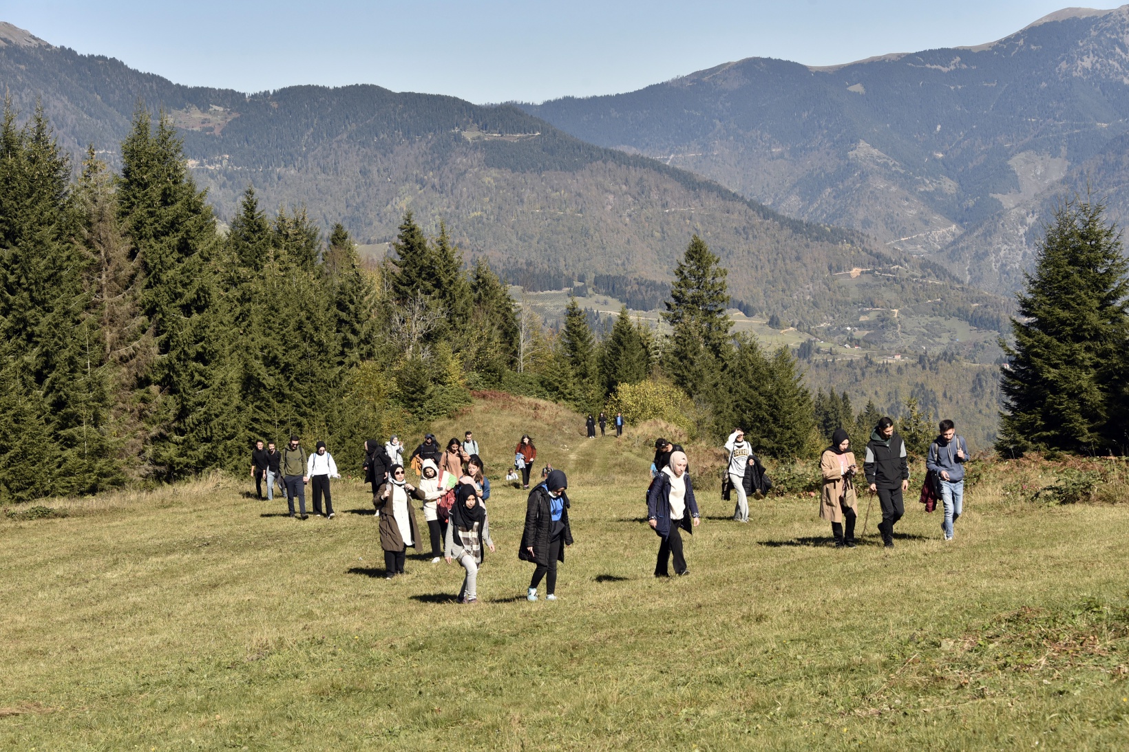 Görsel şöleni görmek için Örümcek Ormanlarına akın ettiler 8