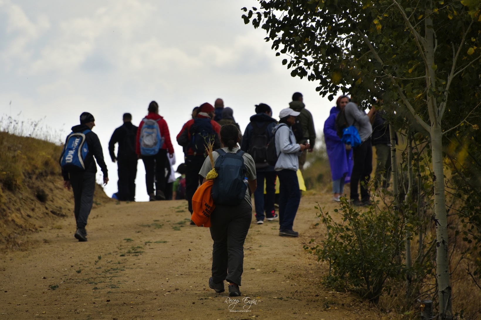 Sonbaharın büyüleyici renkleri Gümüşhane'yi sardı 3