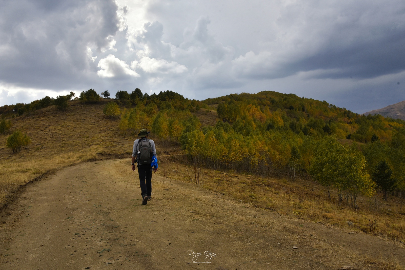 Sonbaharın büyüleyici renkleri Gümüşhane'yi sardı 18