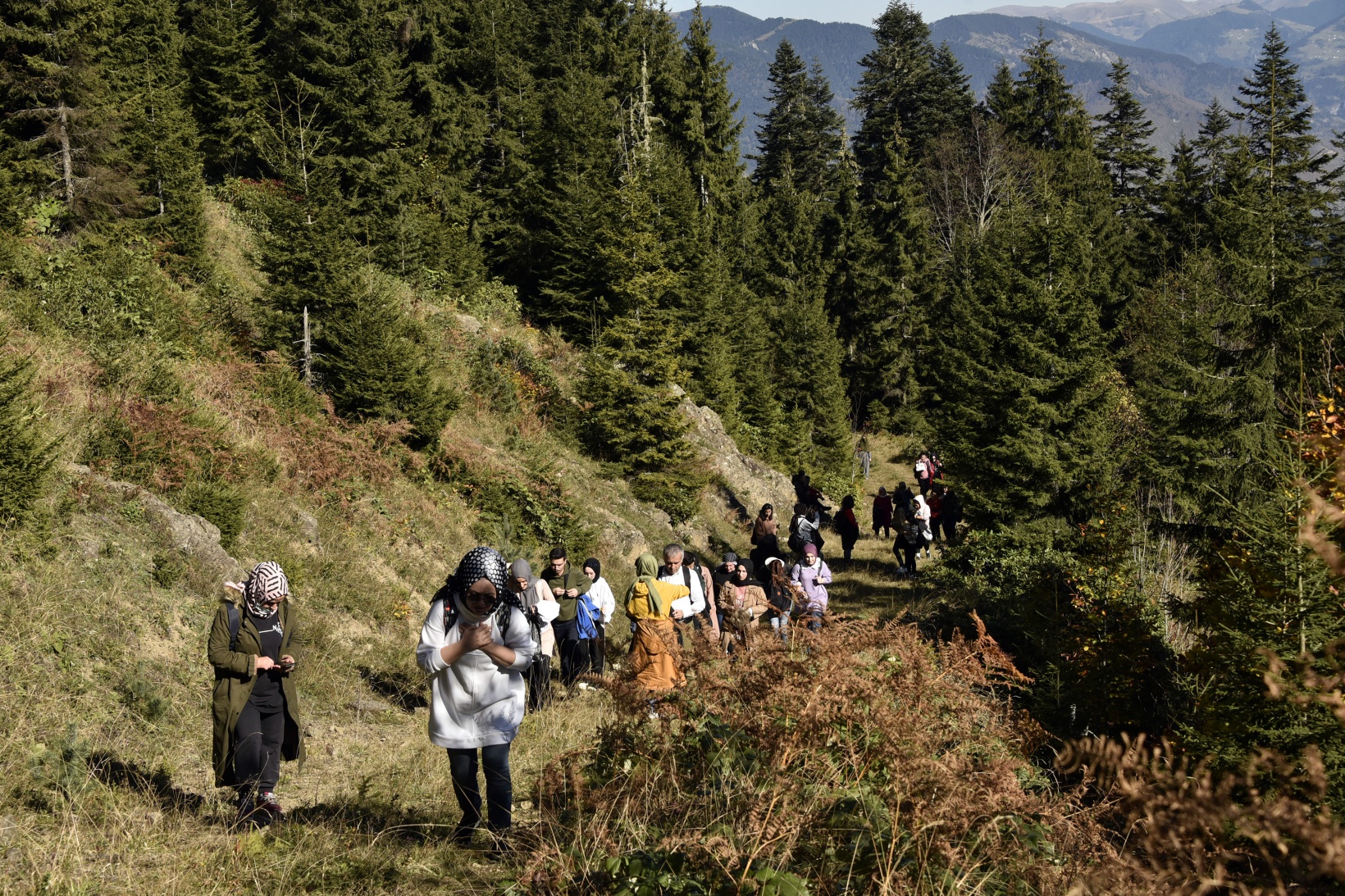 Görsel şöleni görmek için Örümcek Ormanlarına akın ettiler 10