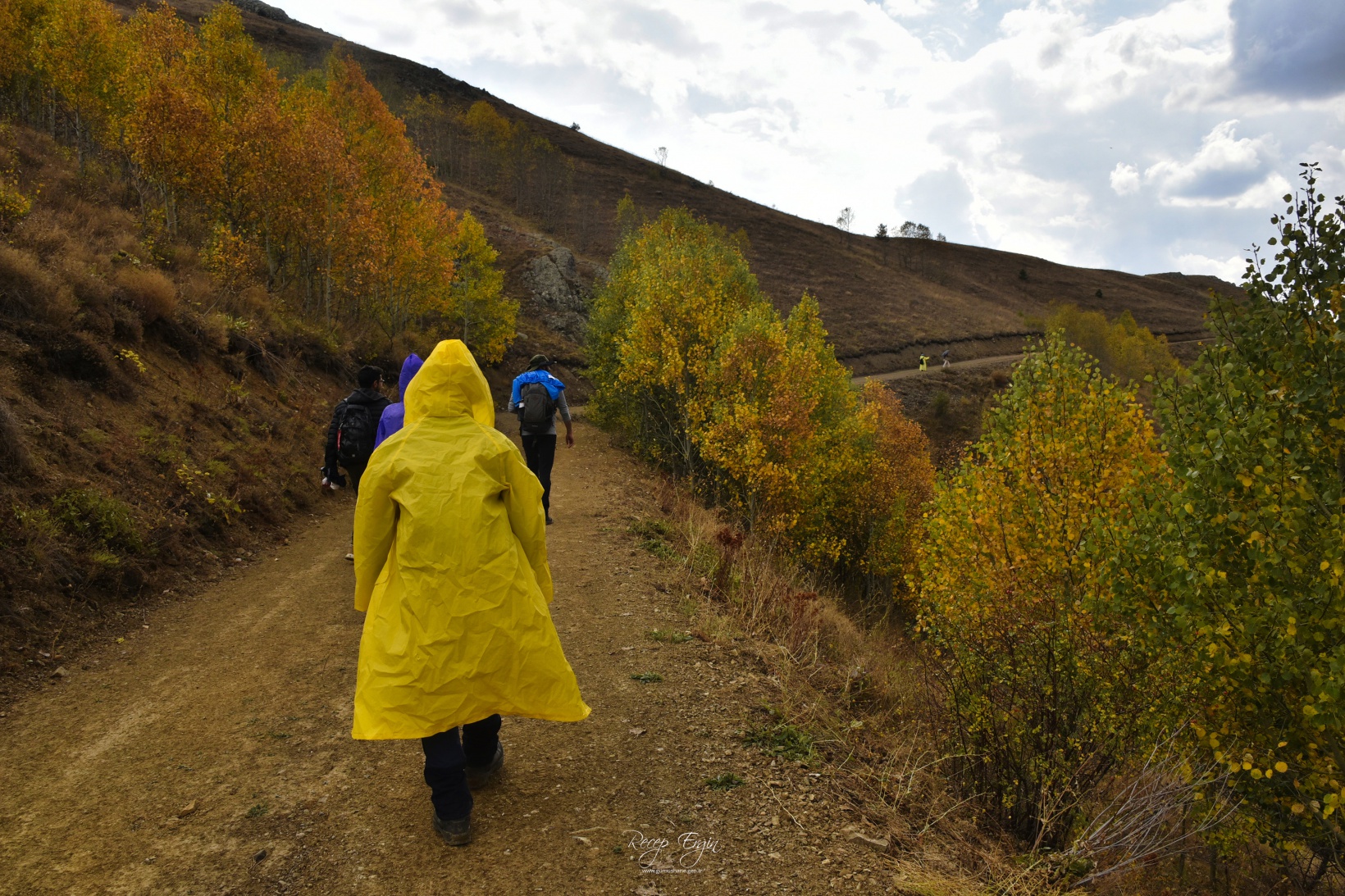 Sonbaharın büyüleyici renkleri Gümüşhane'yi sardı 39