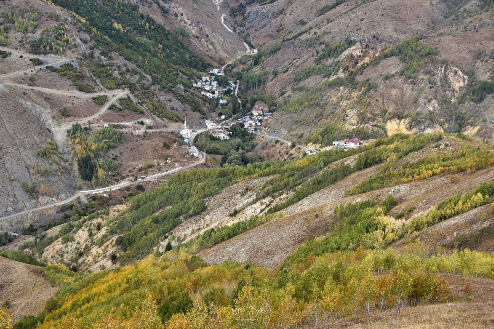 Sonbaharın büyüleyici renkleri Gümüşhane'yi sardı 56