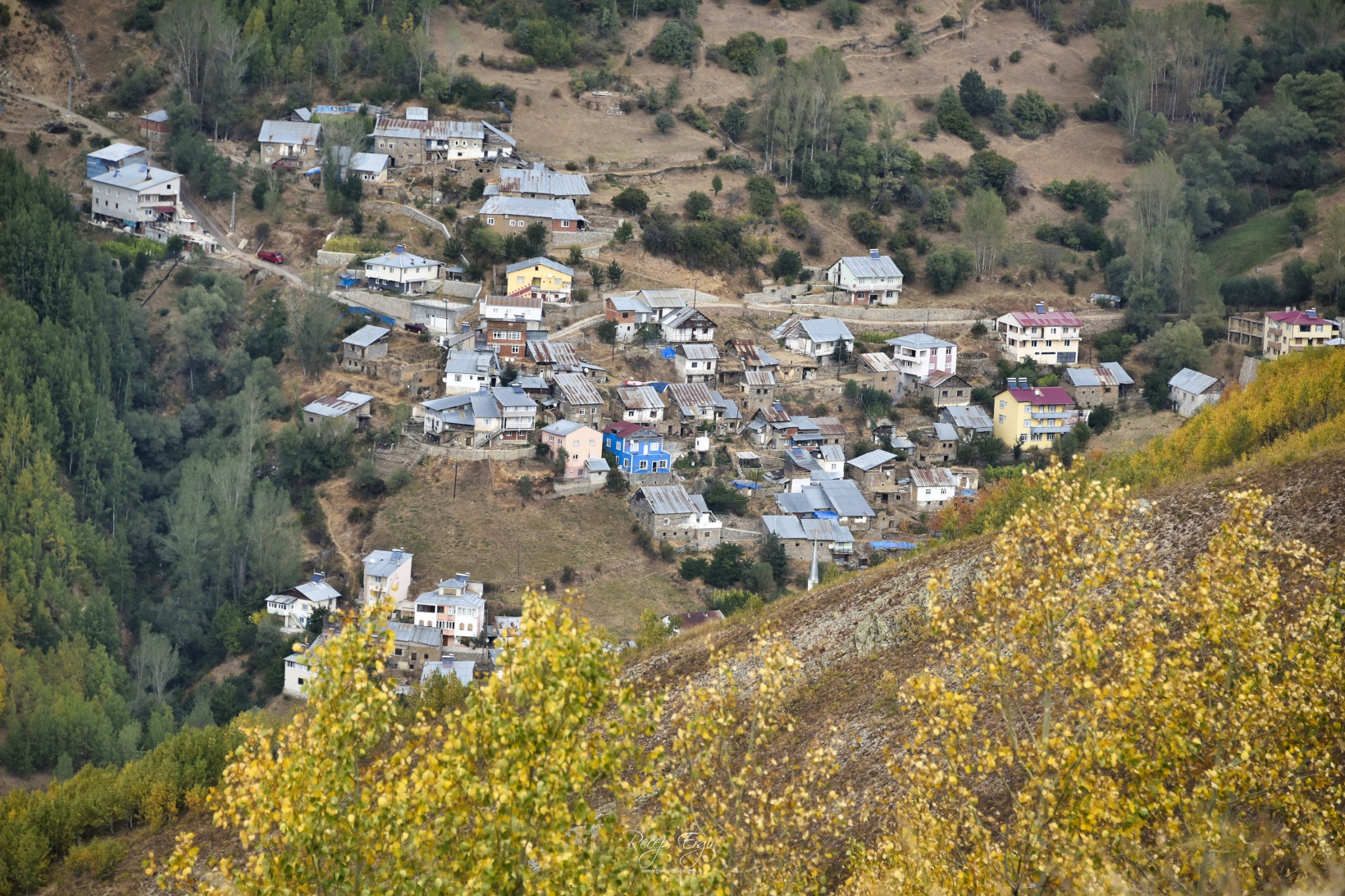 Sonbaharın büyüleyici renkleri Gümüşhane'yi sardı 36