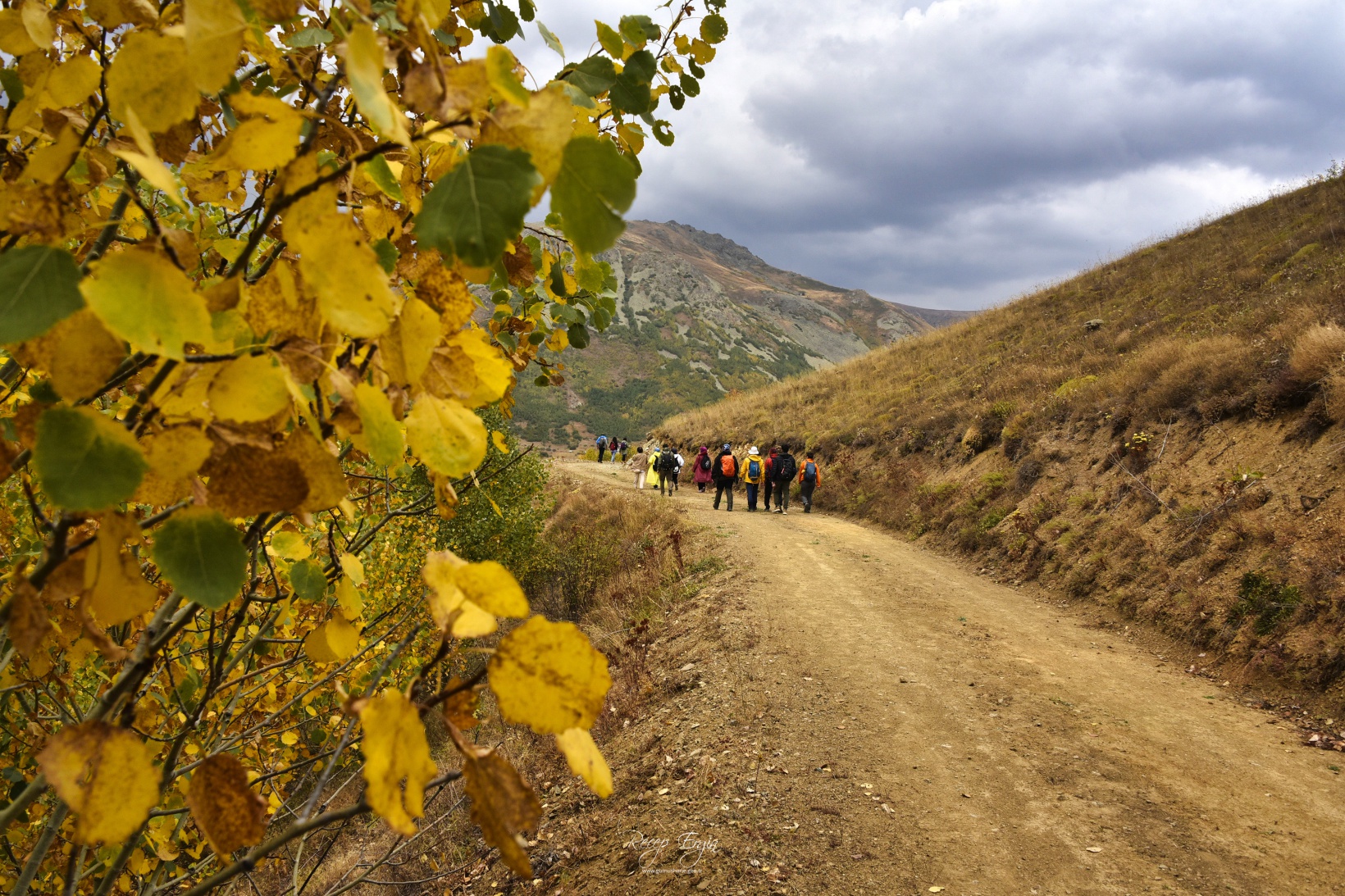 Sonbaharın büyüleyici renkleri Gümüşhane'yi sardı 47