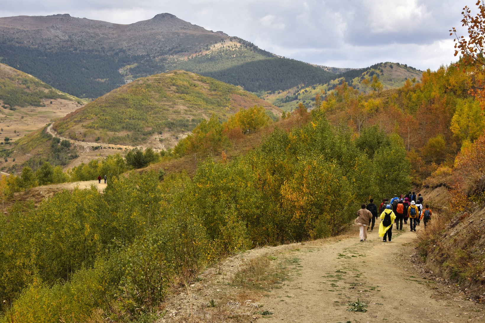 Sonbaharın büyüleyici renkleri Gümüşhane'yi sardı 62