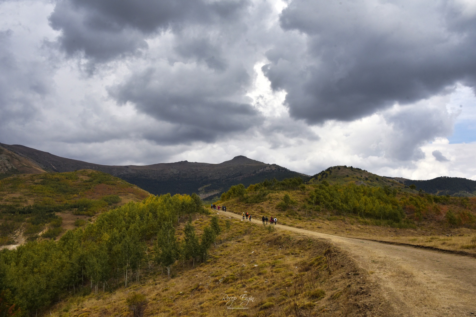 Sonbaharın büyüleyici renkleri Gümüşhane'yi sardı 24