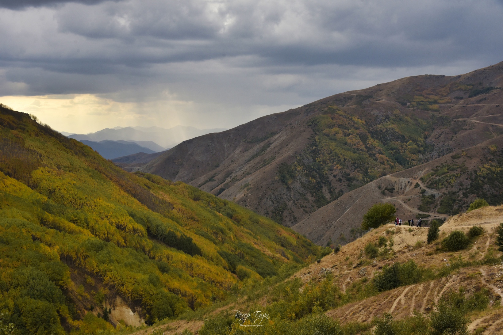 Sonbaharın büyüleyici renkleri Gümüşhane'yi sardı 21
