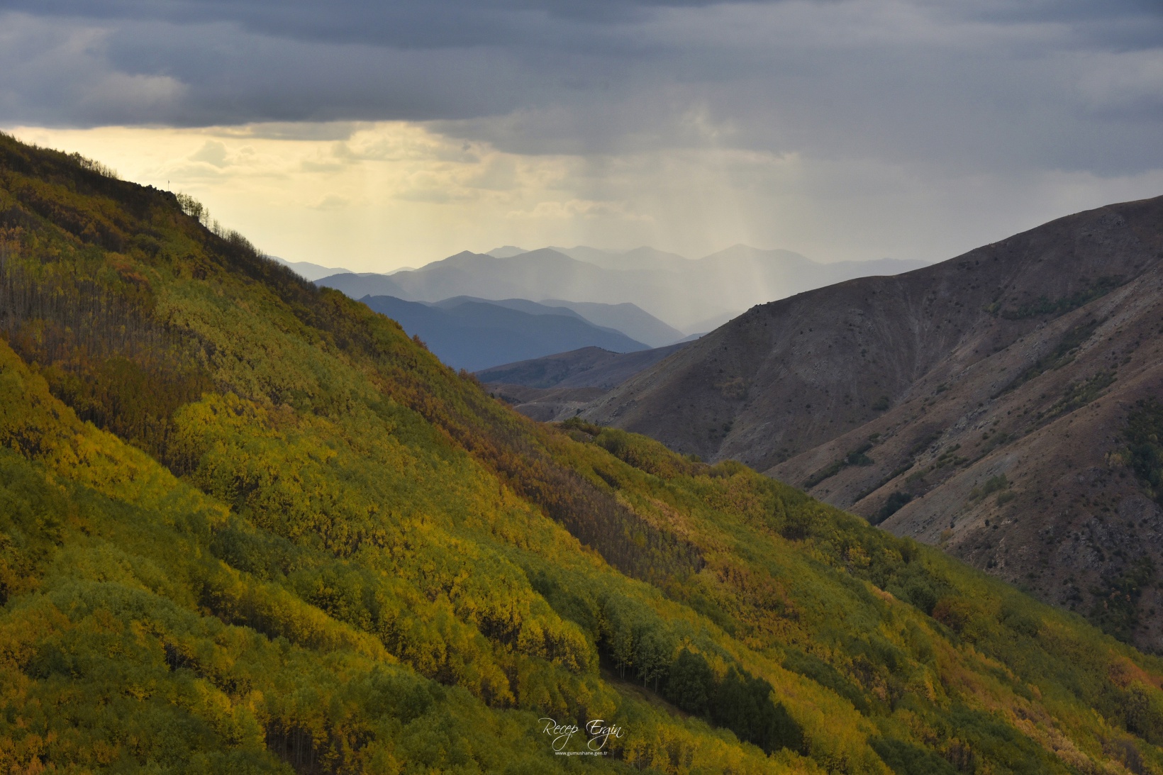 Sonbaharın büyüleyici renkleri Gümüşhane'yi sardı 16