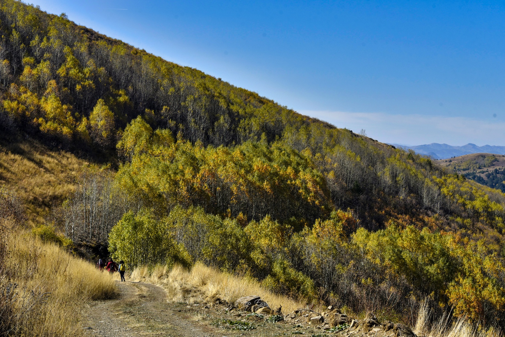 Gümüşhane'de doğa tutkunları sonbaharın keyfini çıkarıyor 25