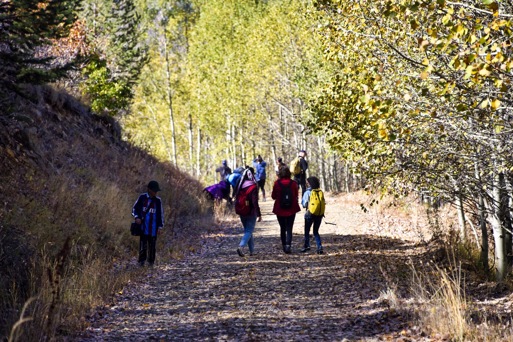 Gümüşhane'de doğa tutkunları sonbaharın keyfini çıkarıyor 54