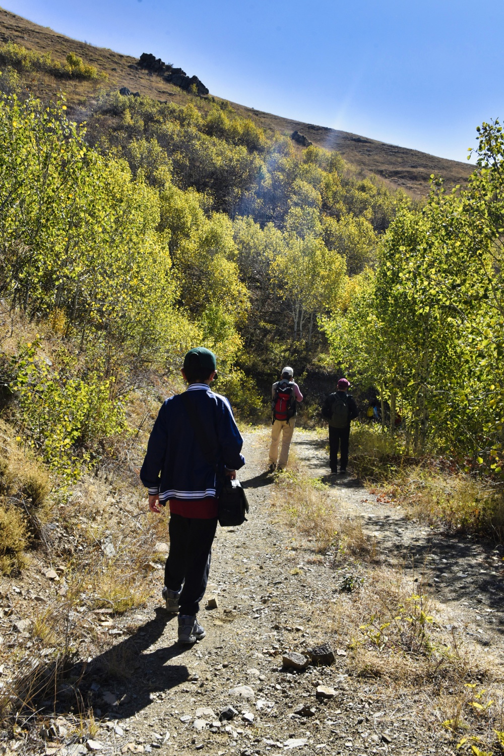 Gümüşhane'de doğa tutkunları sonbaharın keyfini çıkarıyor 59
