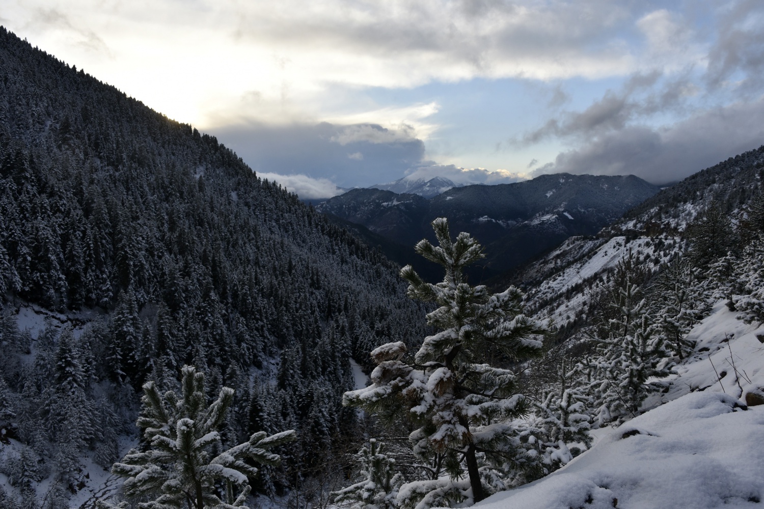Zigana’da kar yağışı kazaları da beraberinde getirdi 8
