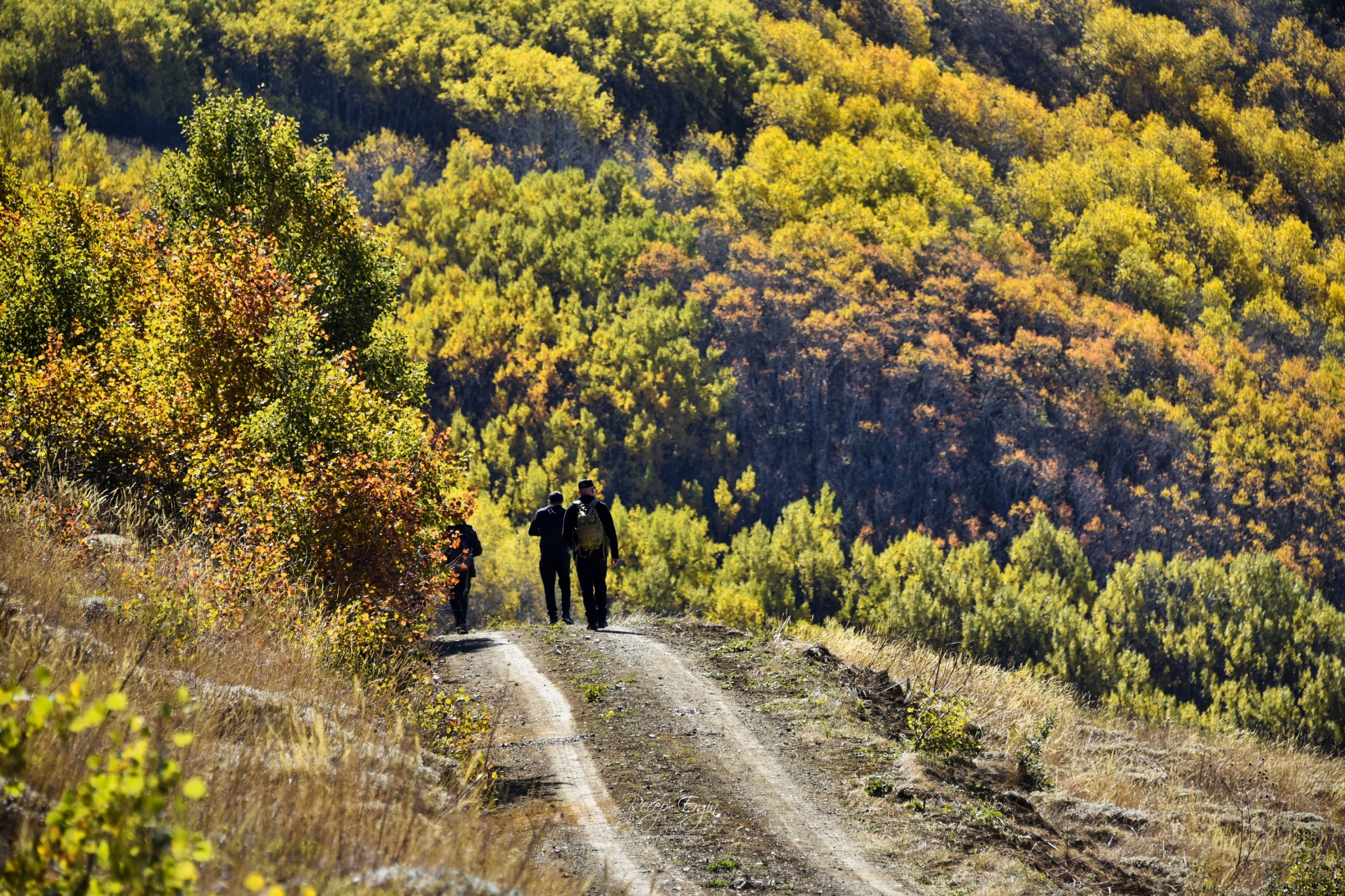 Gümüşhane'de doğa tutkunları sonbaharın keyfini çıkarıyor 33