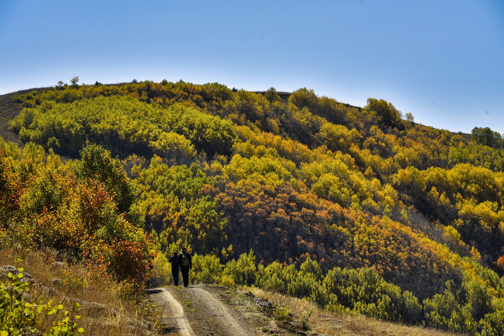 Gümüşhane'de doğa tutkunları sonbaharın keyfini çıkarıyor 43