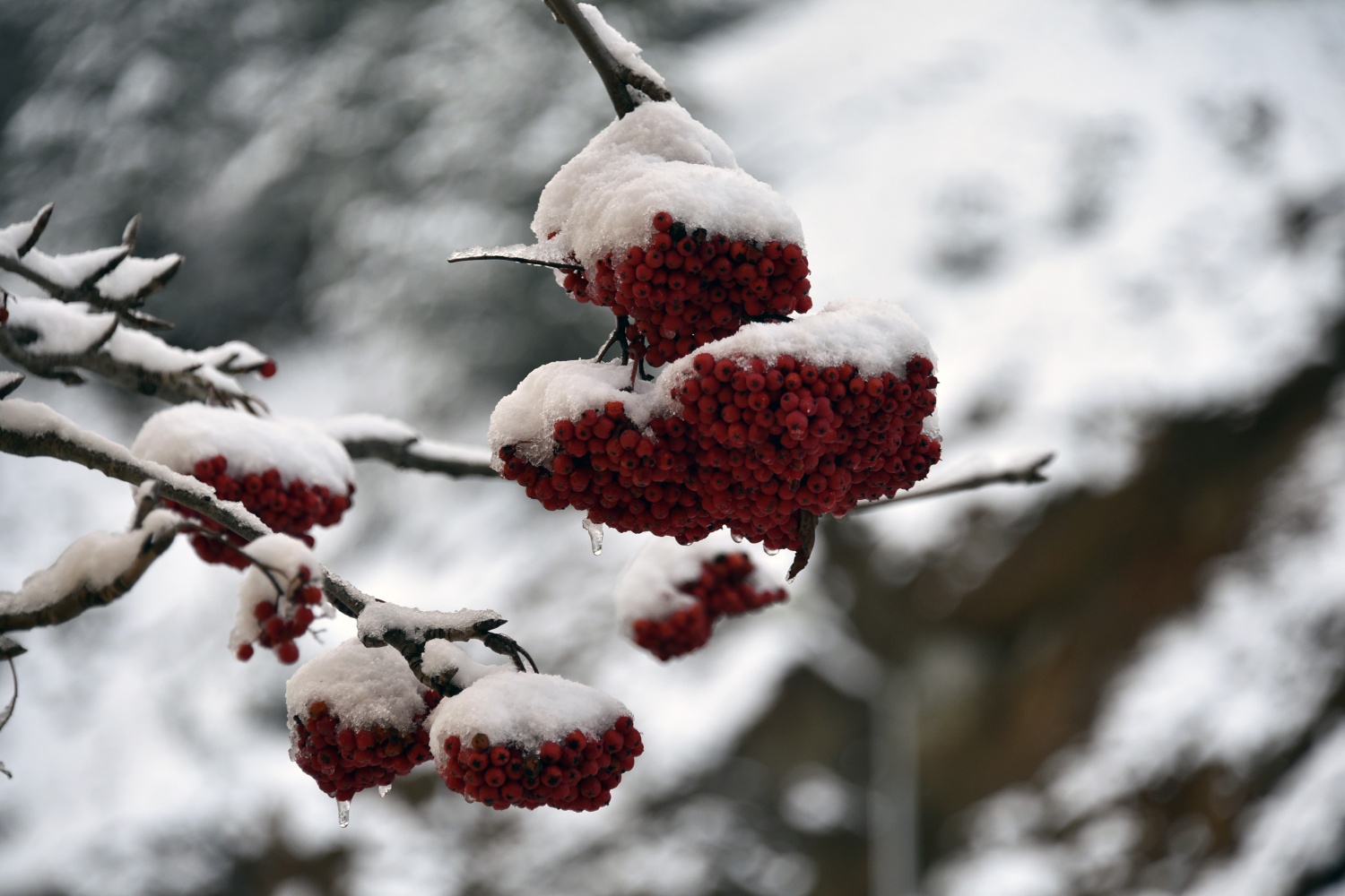 Zigana’da kar yağışı kazaları da beraberinde getirdi 17