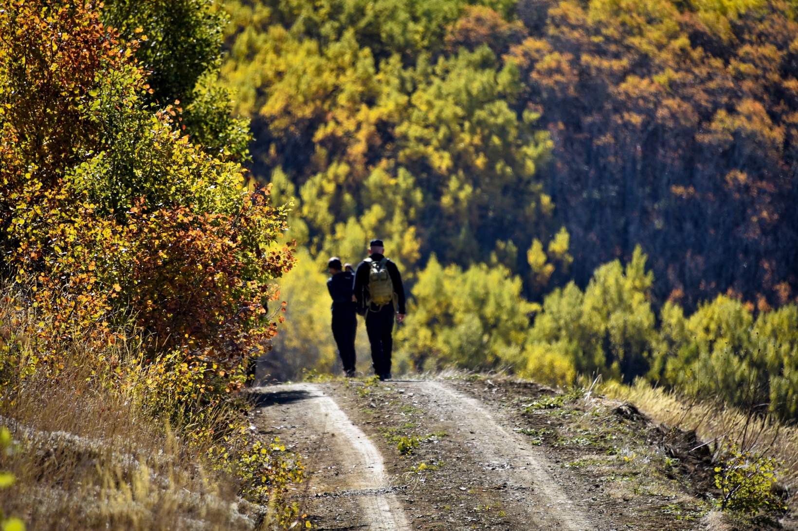 Gümüşhane'de doğa tutkunları sonbaharın keyfini çıkarıyor 12