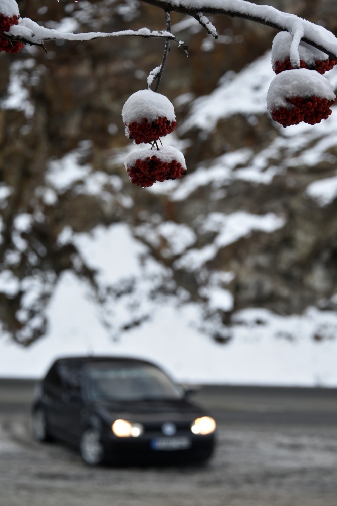 Zigana’da kar yağışı kazaları da beraberinde getirdi 14