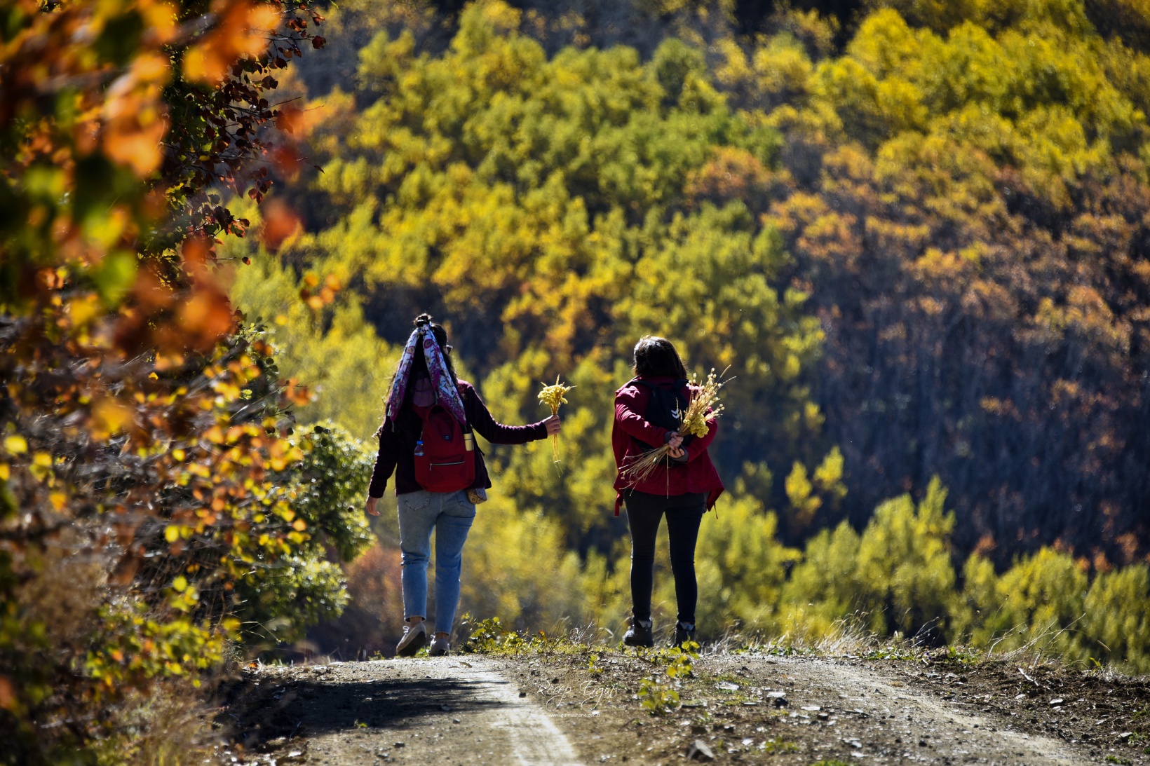 Gümüşhane'de doğa tutkunları sonbaharın keyfini çıkarıyor 18