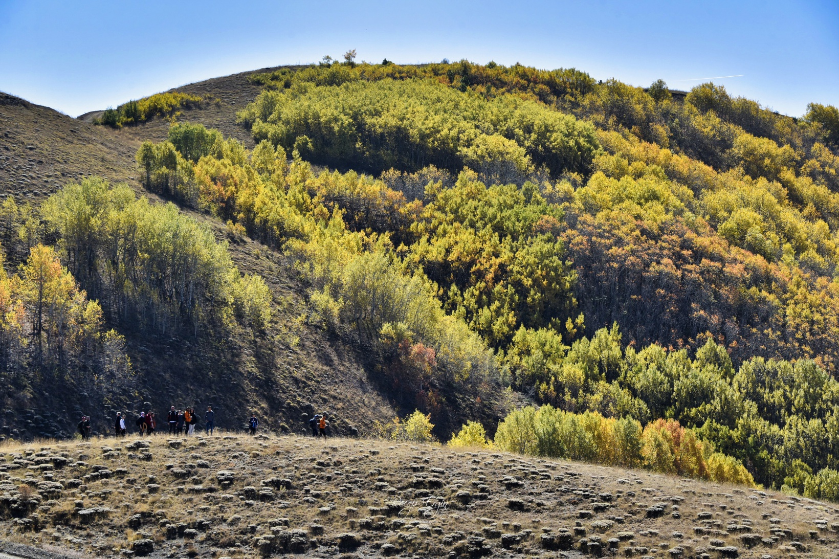 Gümüşhane'de doğa tutkunları sonbaharın keyfini çıkarıyor 53